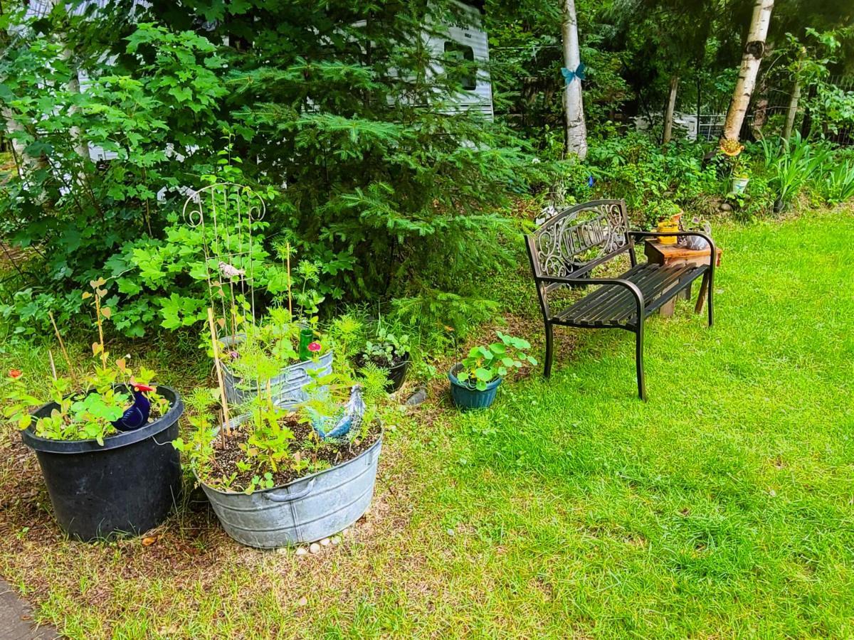 Woodcrest Bed And Breakfast Clearwater Buitenkant foto