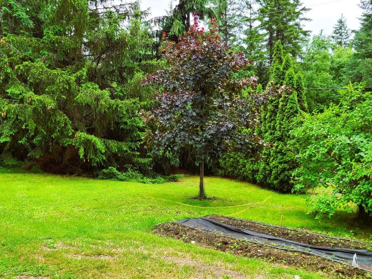 Woodcrest Bed And Breakfast Clearwater Buitenkant foto