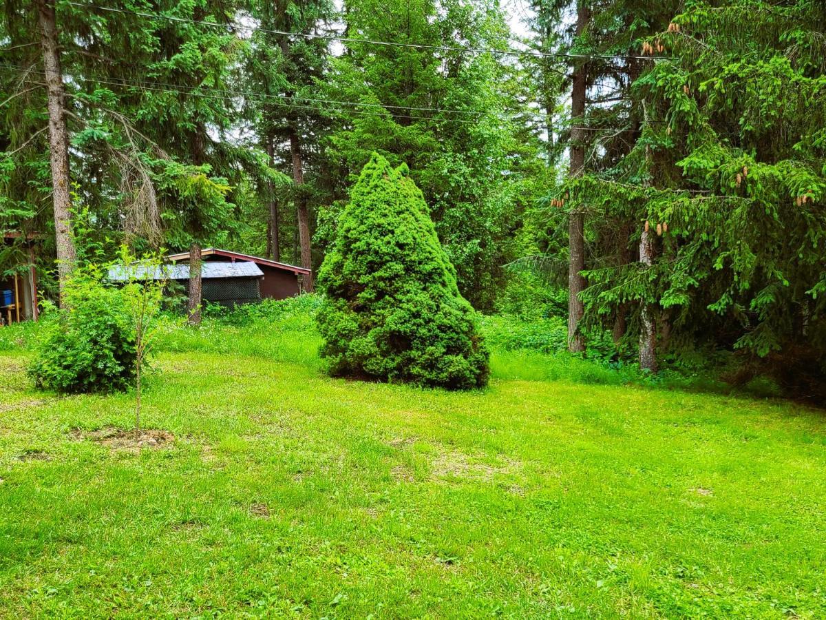 Woodcrest Bed And Breakfast Clearwater Buitenkant foto
